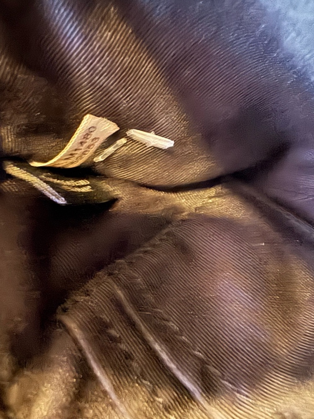 Coach Double Zip Wristlet - Picture 7 of 9